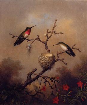 馬丁 約翰遜 赫德 Ruby-Throated Hummingbird